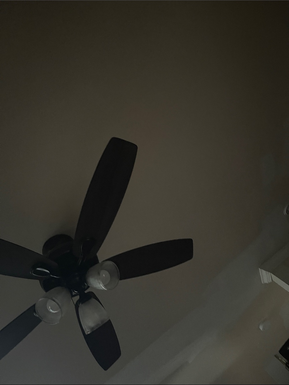 Black Ceiling Fan with Light Kit - Home Accents